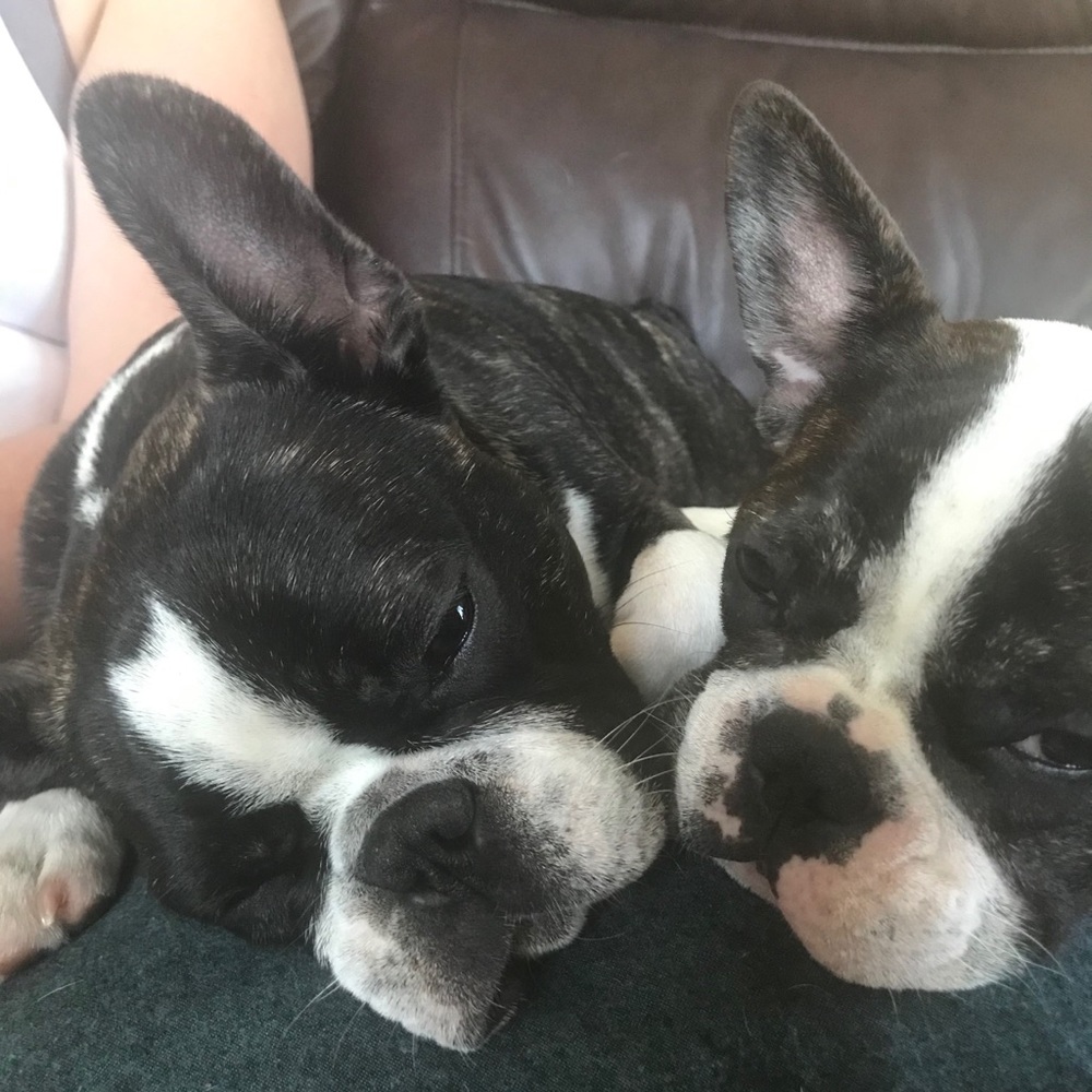 Meet your Posher, Christy